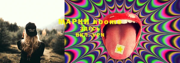 сатива Осташков