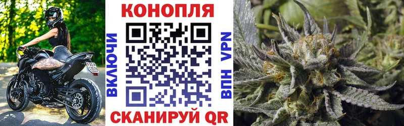 Бошки Шишки White Widow  Купить закладки  Белоозёрский 